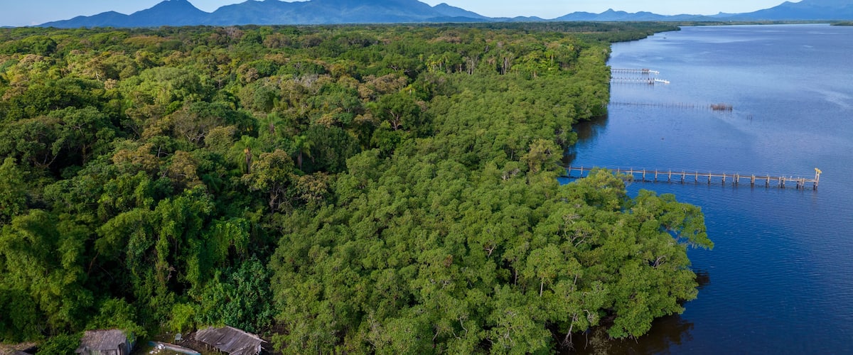 Aerial view of the city of Cananéia. Mangrove and sea at Ilha do Cardoso state park