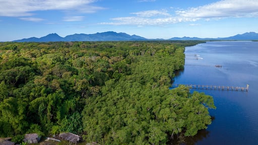 Aerial view of the city of Cananéia. Mangrove and sea at Ilha do Cardoso state park