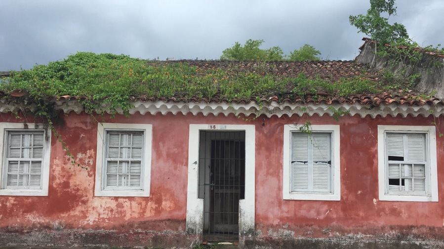Casa coberta com vegetação