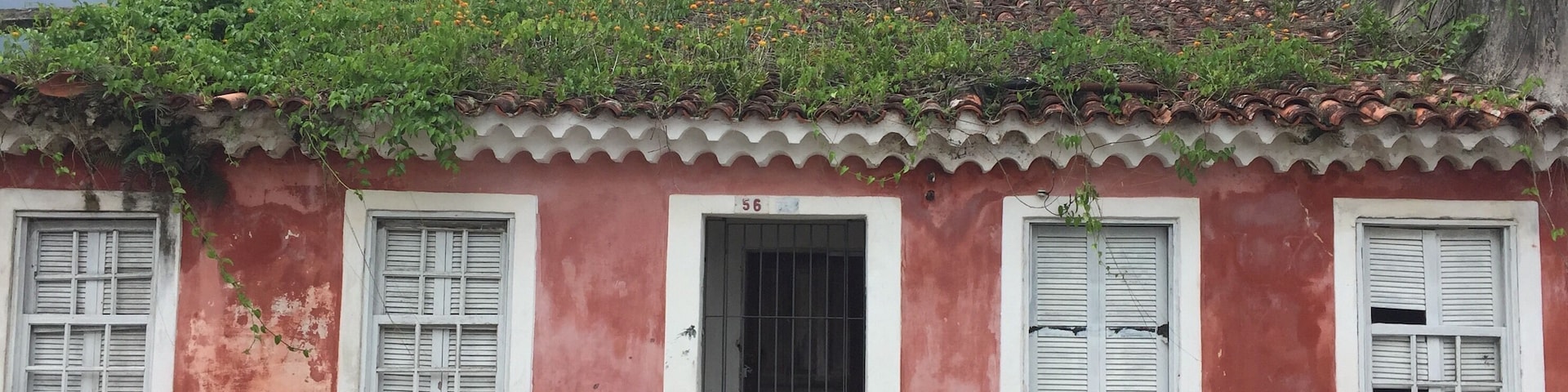 Casa coberta com vegetação