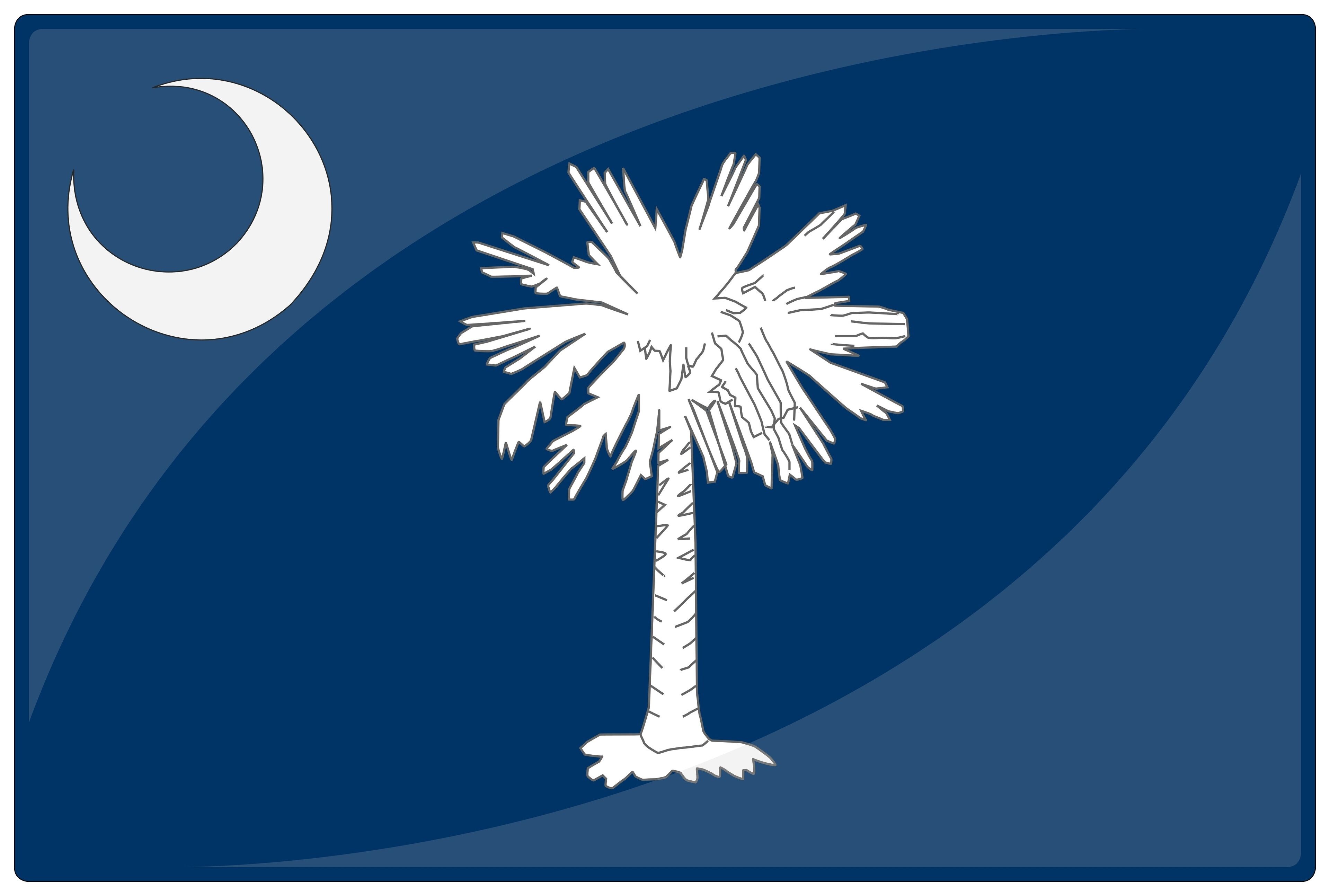 drapeau glassy caroline sud south carolina flag