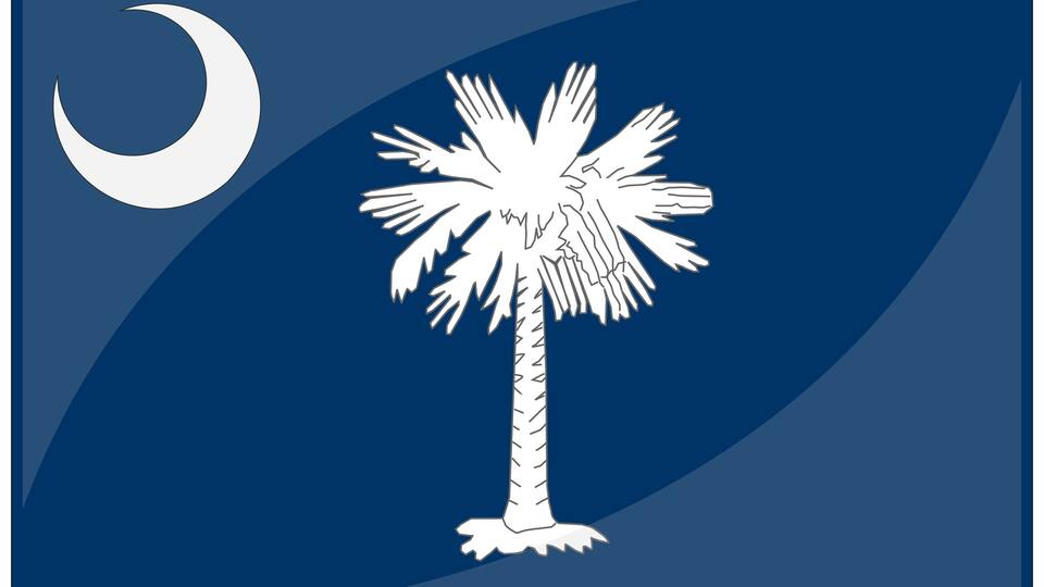 A palm tree and a crescent moon on a dark blue background.