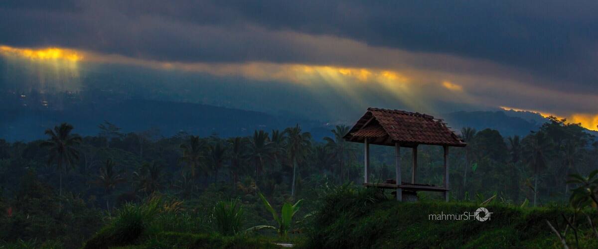 A rural landscape with a small wooden structure, palm trees, and a cloudy sky.