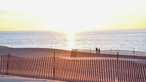 Over the weekend, I found myself in southern Michigan visiting family. I got to live like a local for three days! One of my favorite parts was being so close to Lake Michigan. I know the sun is over exposed in this photo, but it screams summer warmth. I cannot wait for more lazy beach days this summer.