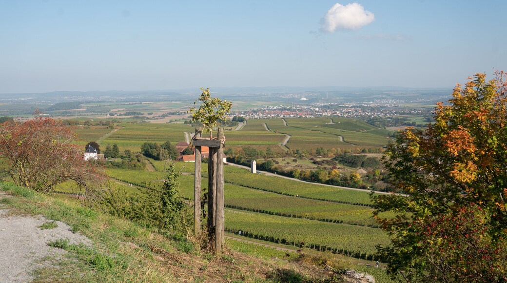 Landscape in Cleebronn, Baden Wurttemberg