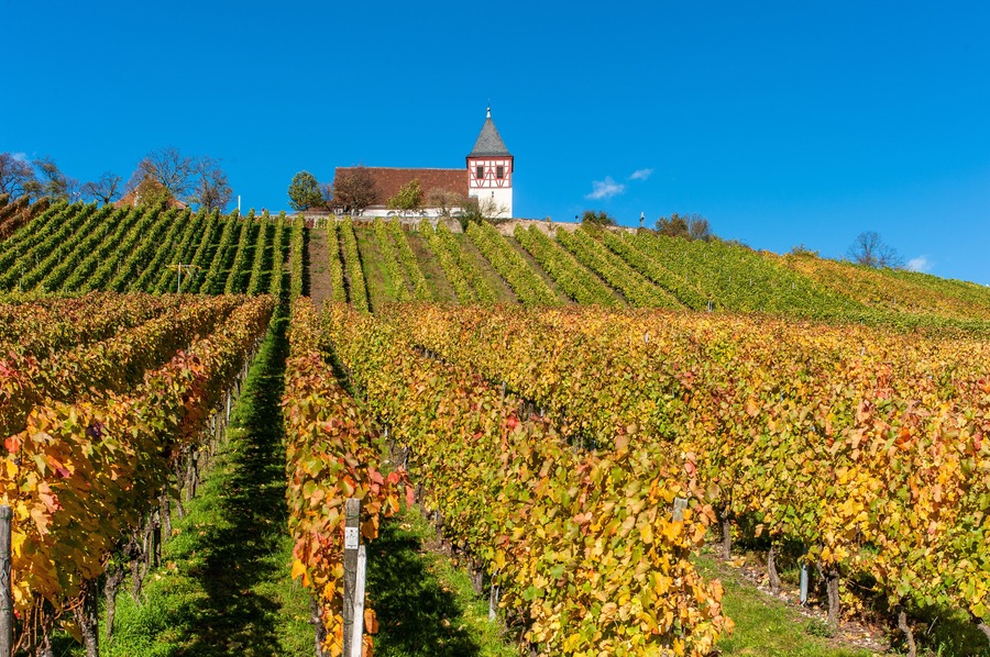 Michaelsberg bei Cleebronn