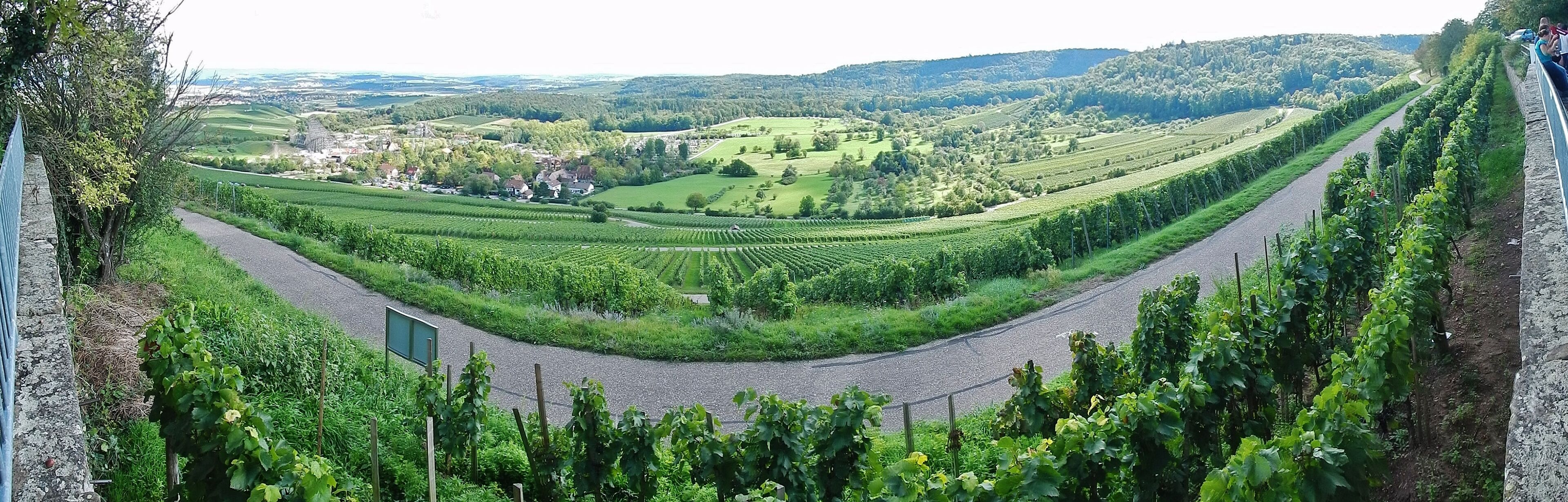 Ausblick vom Michaelsberg