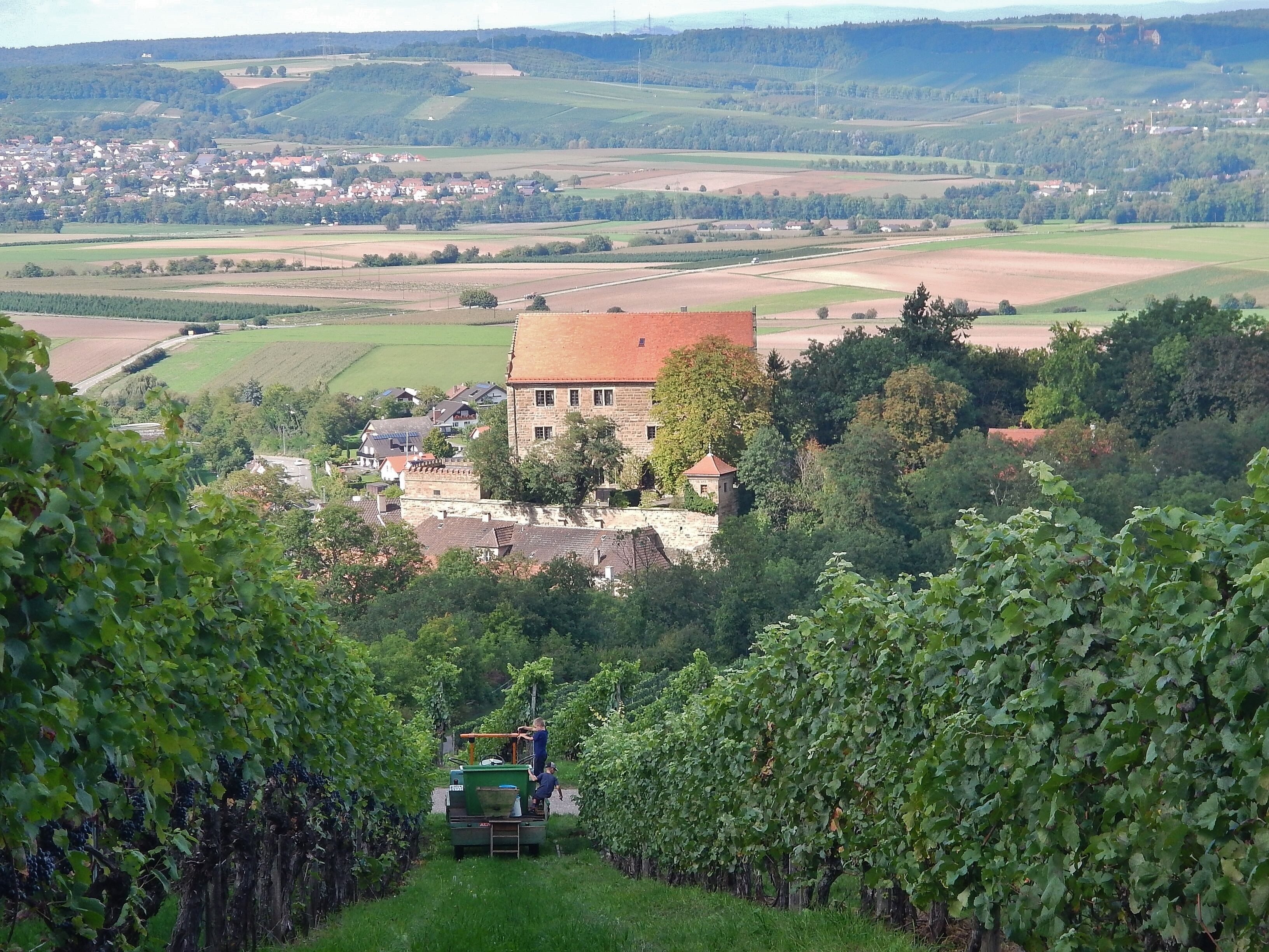 Blick zur Betreiber GmbH & Co. KG des Golfplatz Neumagenheim-Michelsberg, Cleebronn