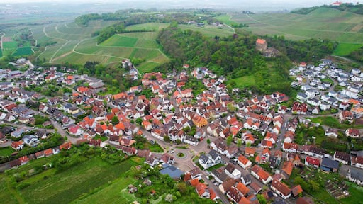 คลีบรอนน์