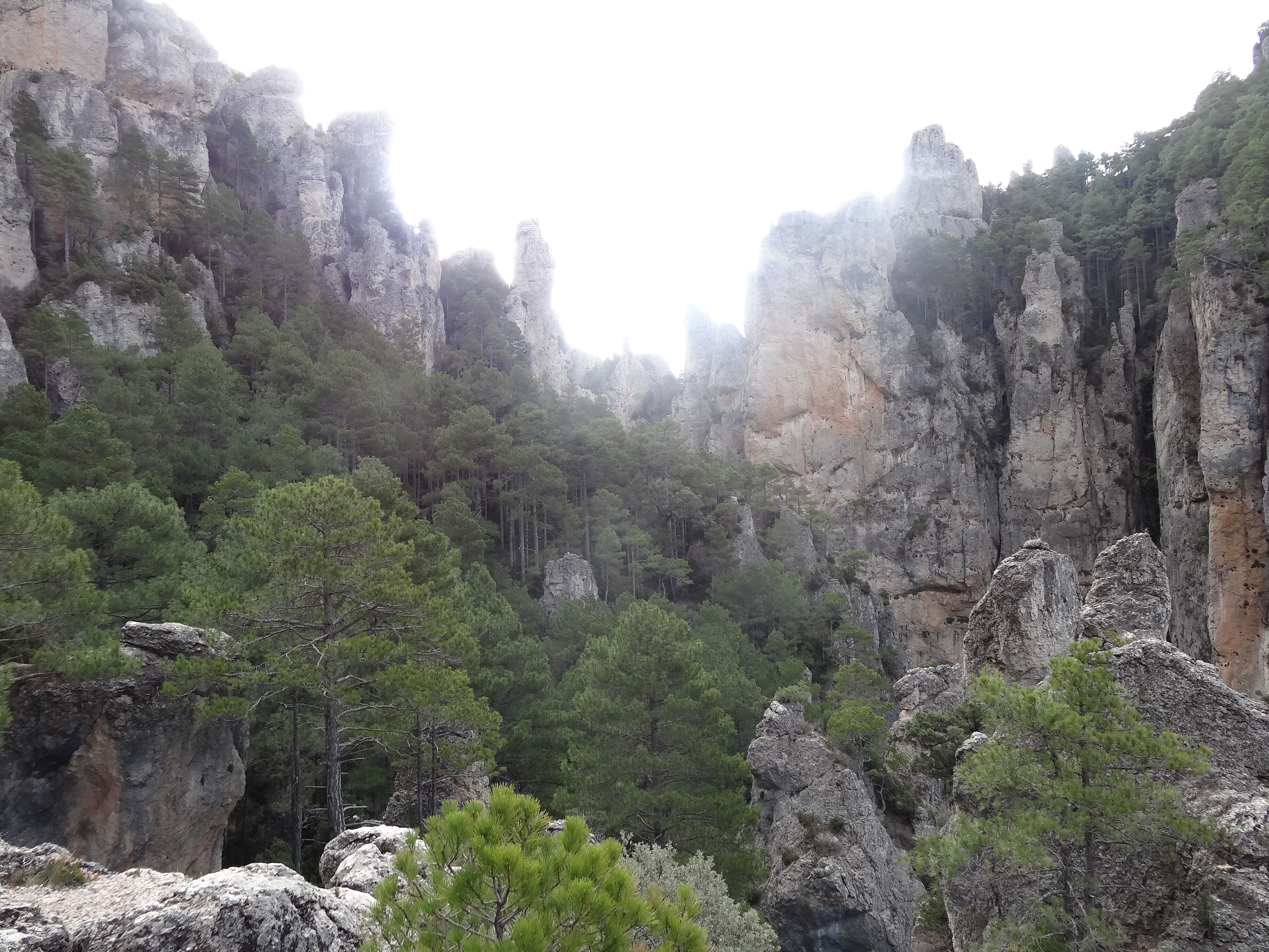 Lo Parrissal des del Pas del Romeret, Beseit (desembre 2012)