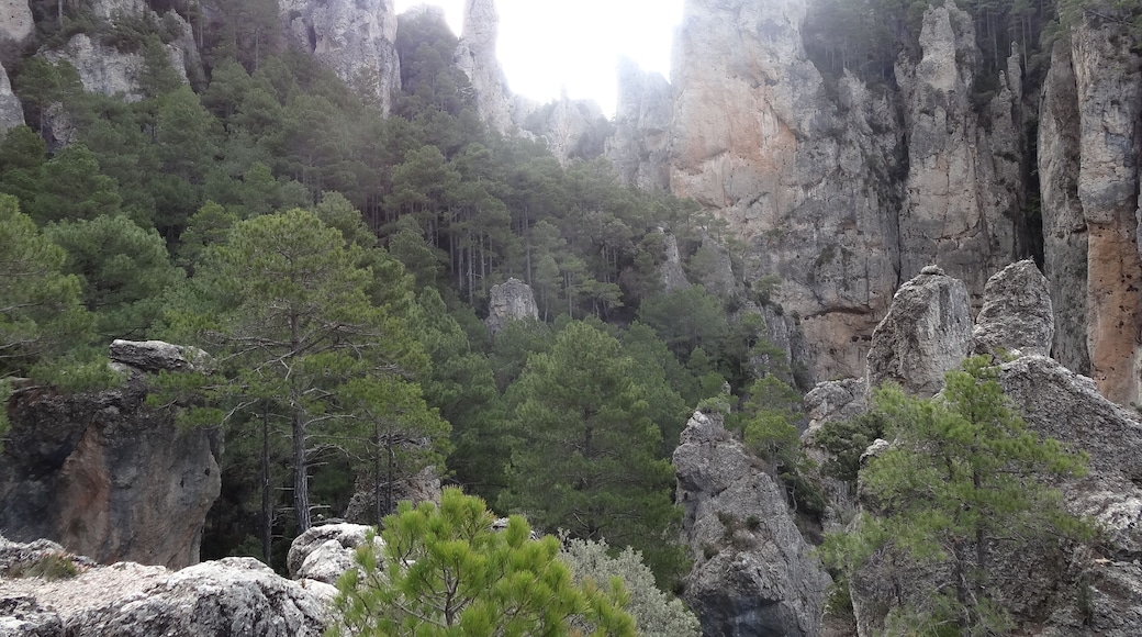 Lo Parrissal des del Pas del Romeret, Beseit (desembre 2012)