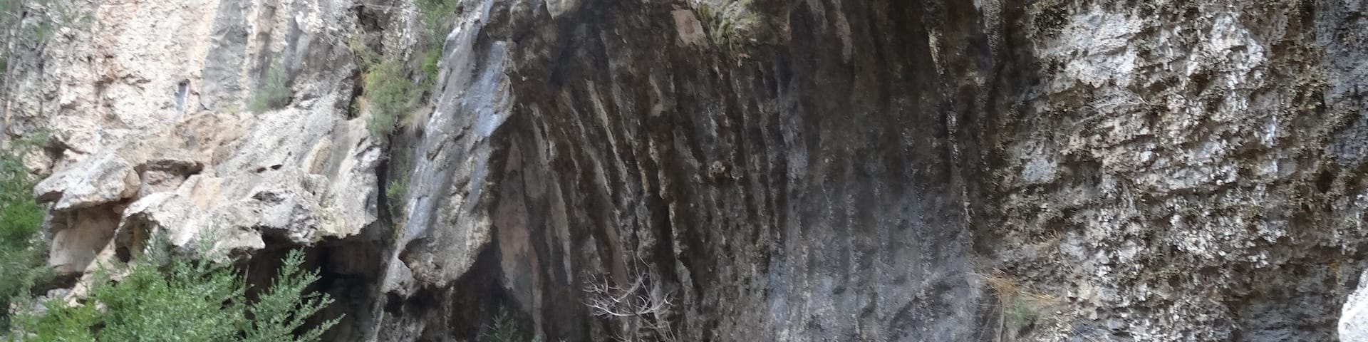 Gúbies del Parrissal al Matarranya, Beseit (desembre 2012)