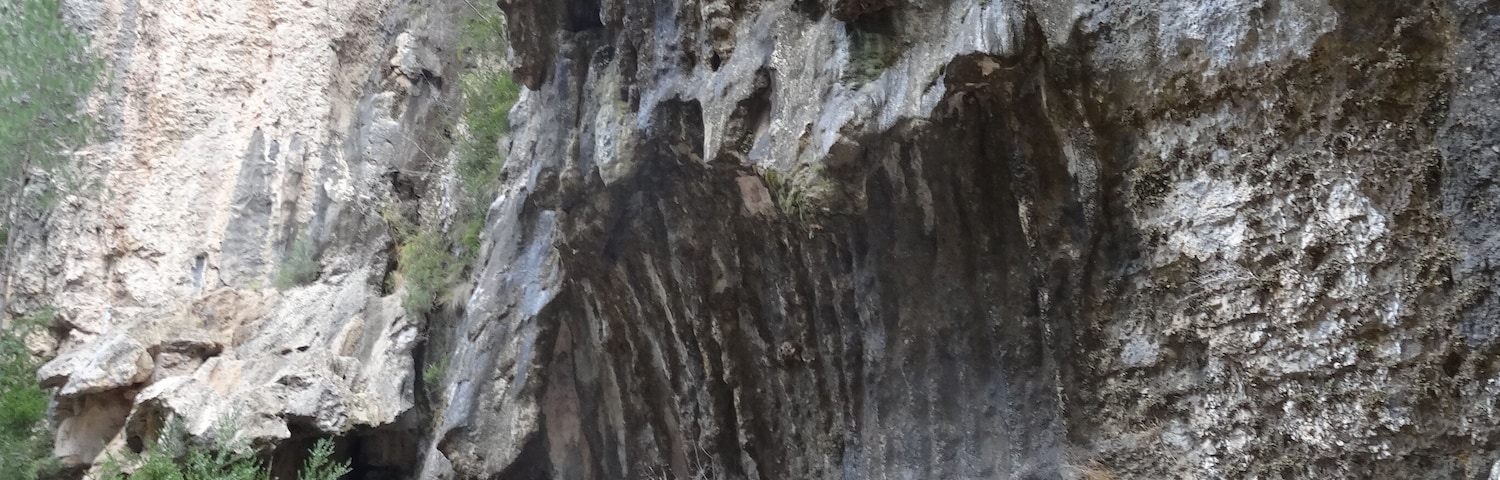 Gúbies del Parrissal al Matarranya, Beseit (desembre 2012)