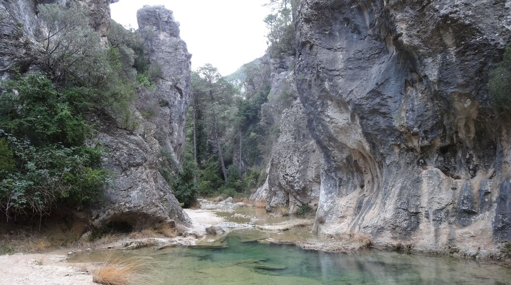 Gúbies del Parrissal al Matarranya, Beseit (desembre 2012)