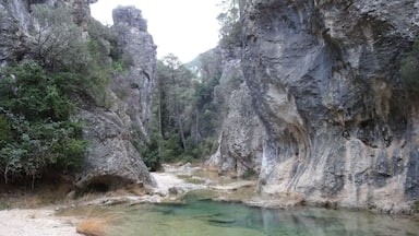 GĂșbies del Parrissal al Matarranya, Beseit (desembre 2012)