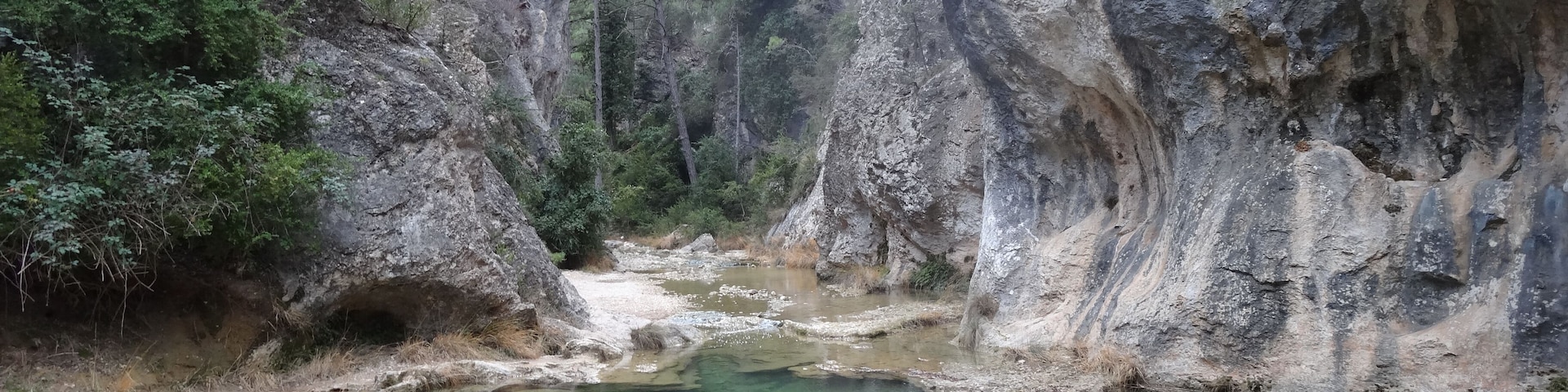 Gúbies del Parrissal al Matarranya, Beseit (desembre 2012)