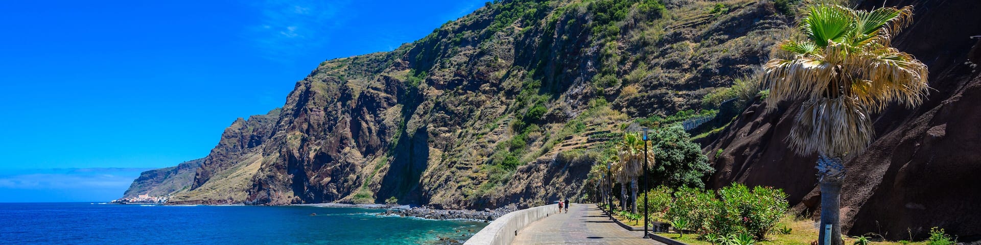A coastal road with a concrete barrier, palm trees, and rocky cliffs.