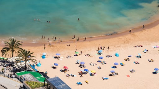 Portugal, Madeira, Calheta, High angle view of people relaxing on sandy coastal beach in summer