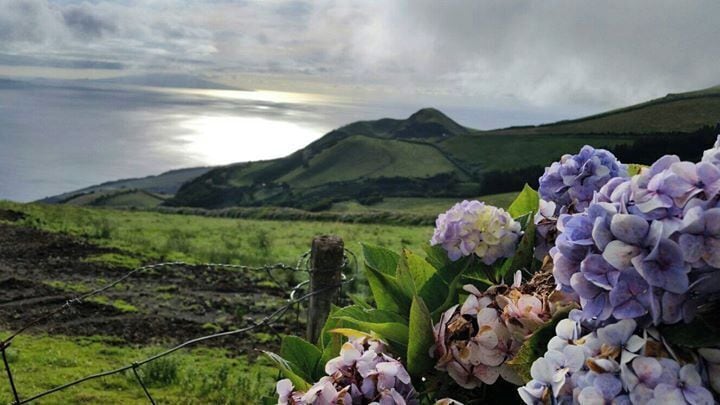 Stunning scenery and beautiful views.
A good way to discover São Jorge is to hire a car to go around the island and stop at the many viewpoints. It's also great for some walking/ hiking. 
#lifeatexpedia