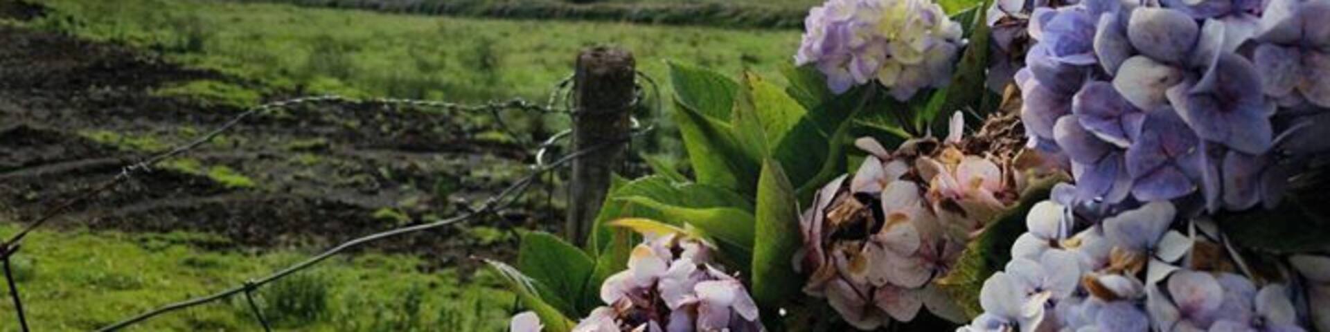 Stunning scenery and beautiful views.
A good way to discover São Jorge is to hire a car to go around the island and stop at the many viewpoints. It's also great for some walking/ hiking.
#lifeatexpedia