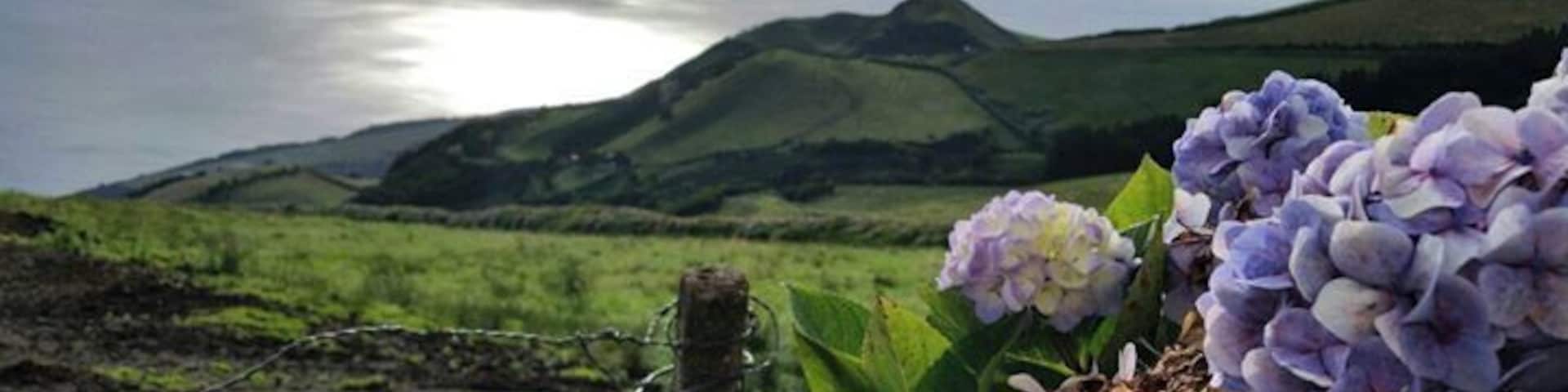 Stunning scenery and beautiful views.
A good way to discover São Jorge is to hire a car to go around the island and stop at the many viewpoints. It's also great for some walking/ hiking.
#lifeatexpedia