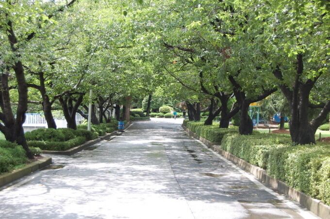 원광대학교_수덕호주변길 (Wonkwang UNIV)