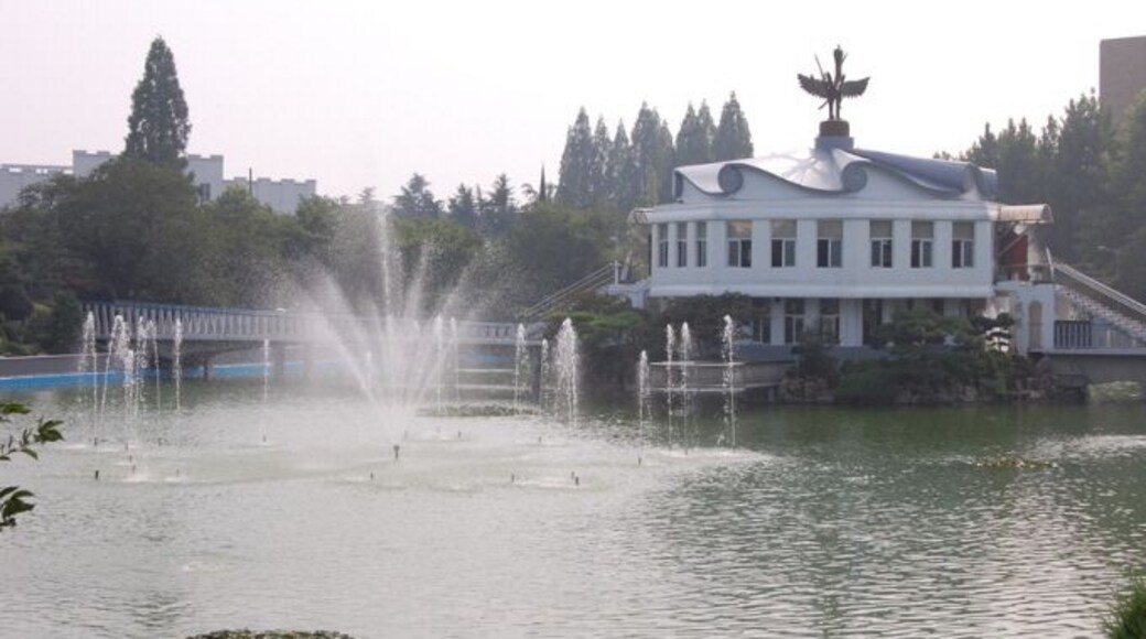 원광대학교_수덕호분수 (Wonkwang UNIV)