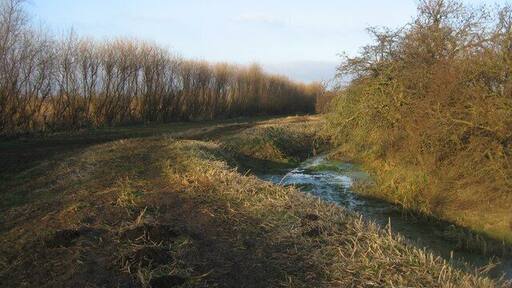 Footpath along the dyke To the left is Elney Lake, to the right beyond the trees is Oxholme Lake.