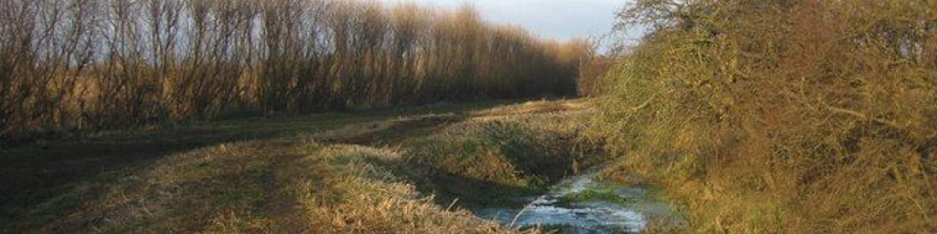 Footpath along the dyke To the left is Elney Lake, to the right beyond the trees is Oxholme Lake.