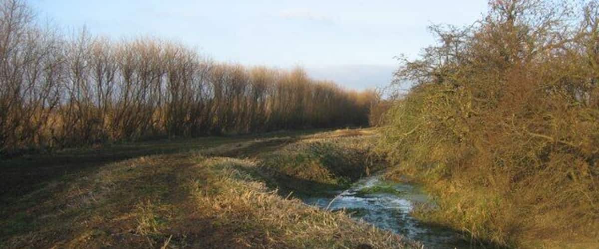 A narrow water channel flanked by dense shrubbery and trees.