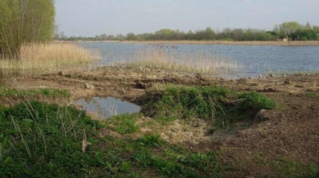 Elney Lake South-west corner, the tracks in the foreground are where machinery has been taken out to help clear trees from the lake.