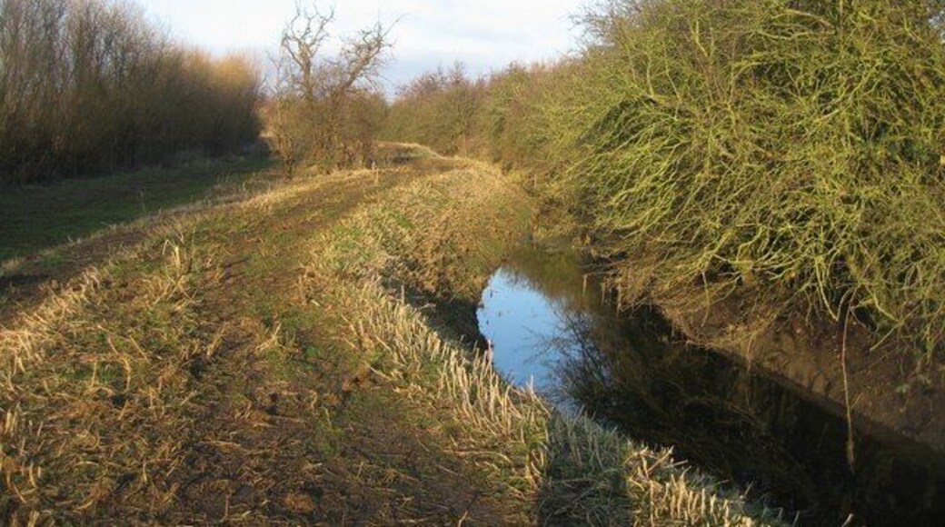 Ditch & dyke Raised footpath along the east side of Elney Lake.
