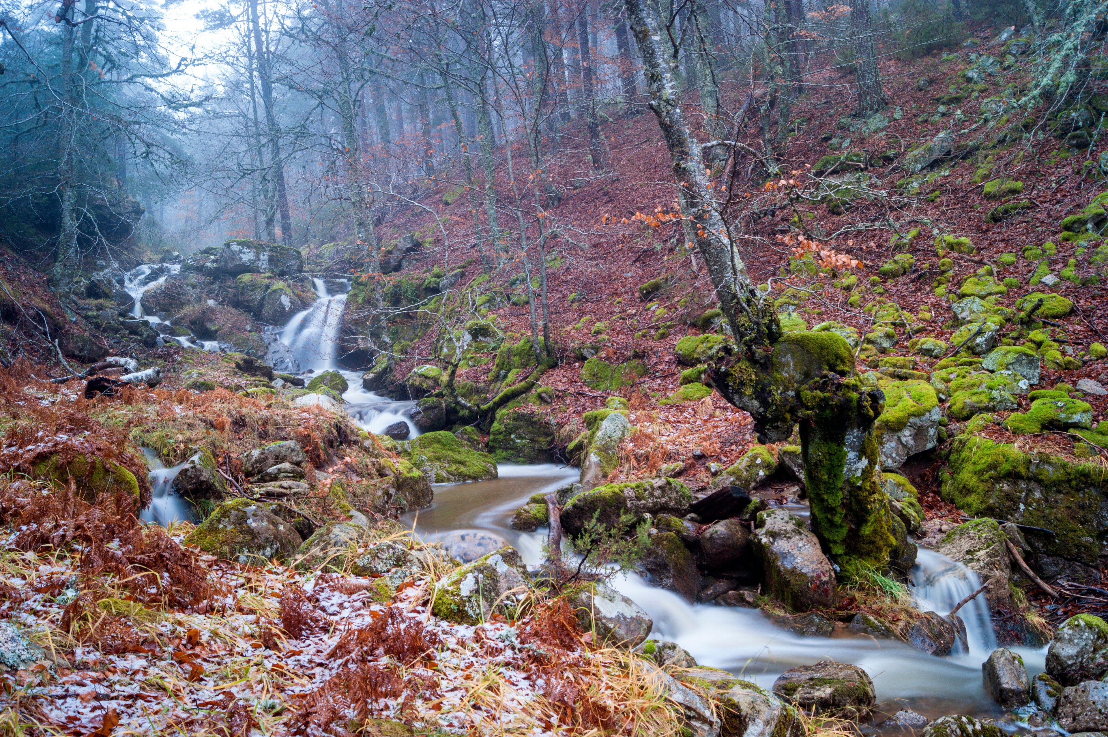 Quintanar de la Sierra