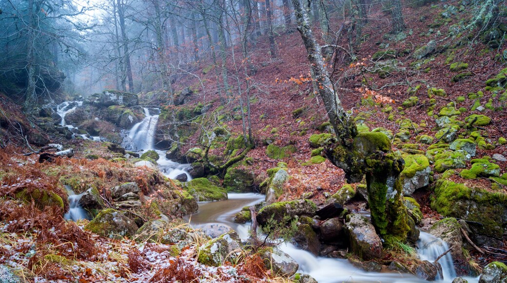 Quintanar de la Sierra
