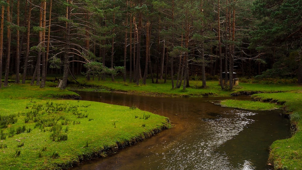 River of Quintanar de la Sierra in Burgos
