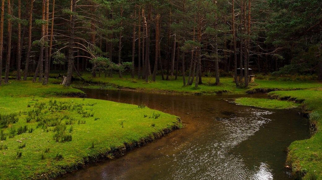 Quintanar de la Sierra