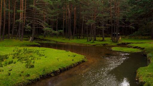 Quintanar de la Sierra