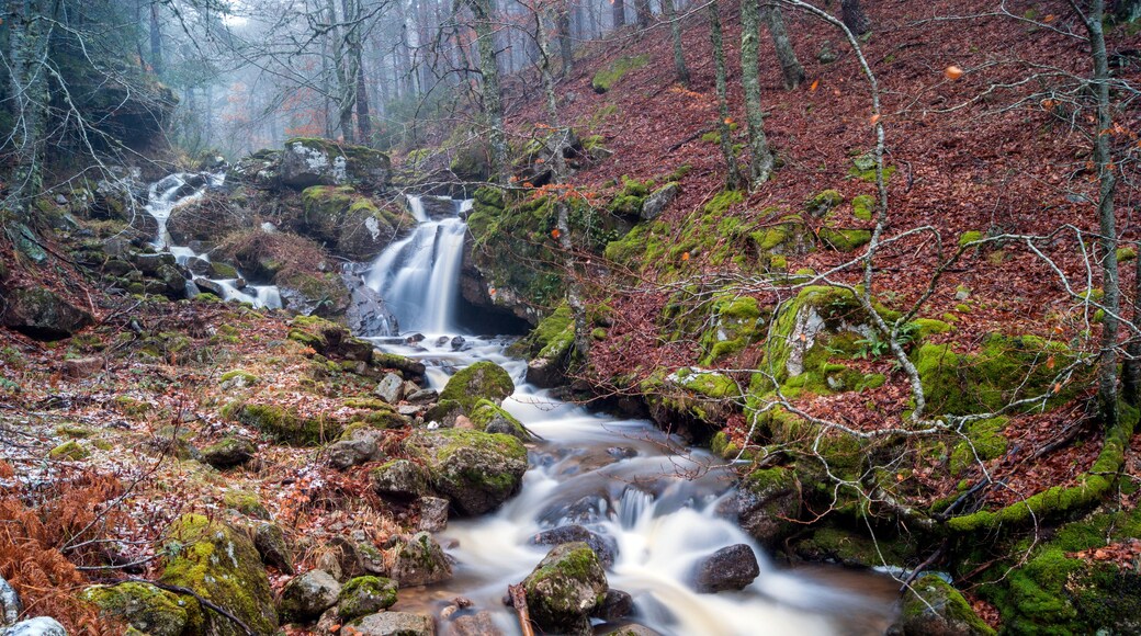 Quintanar de la Sierra