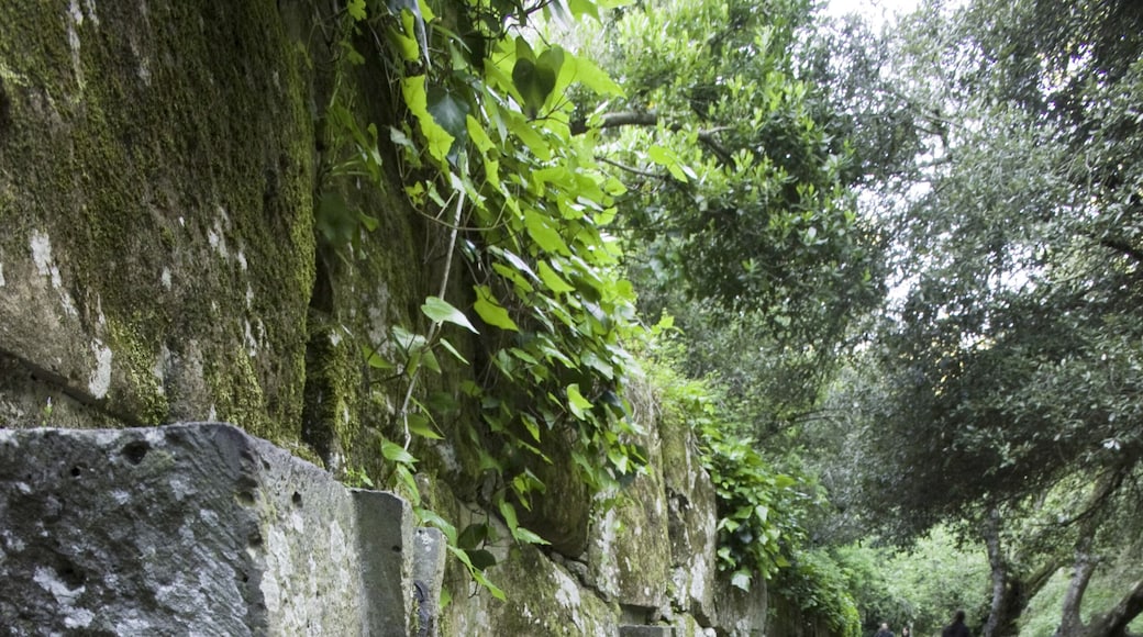 San Leonardo de Siete Fuentes