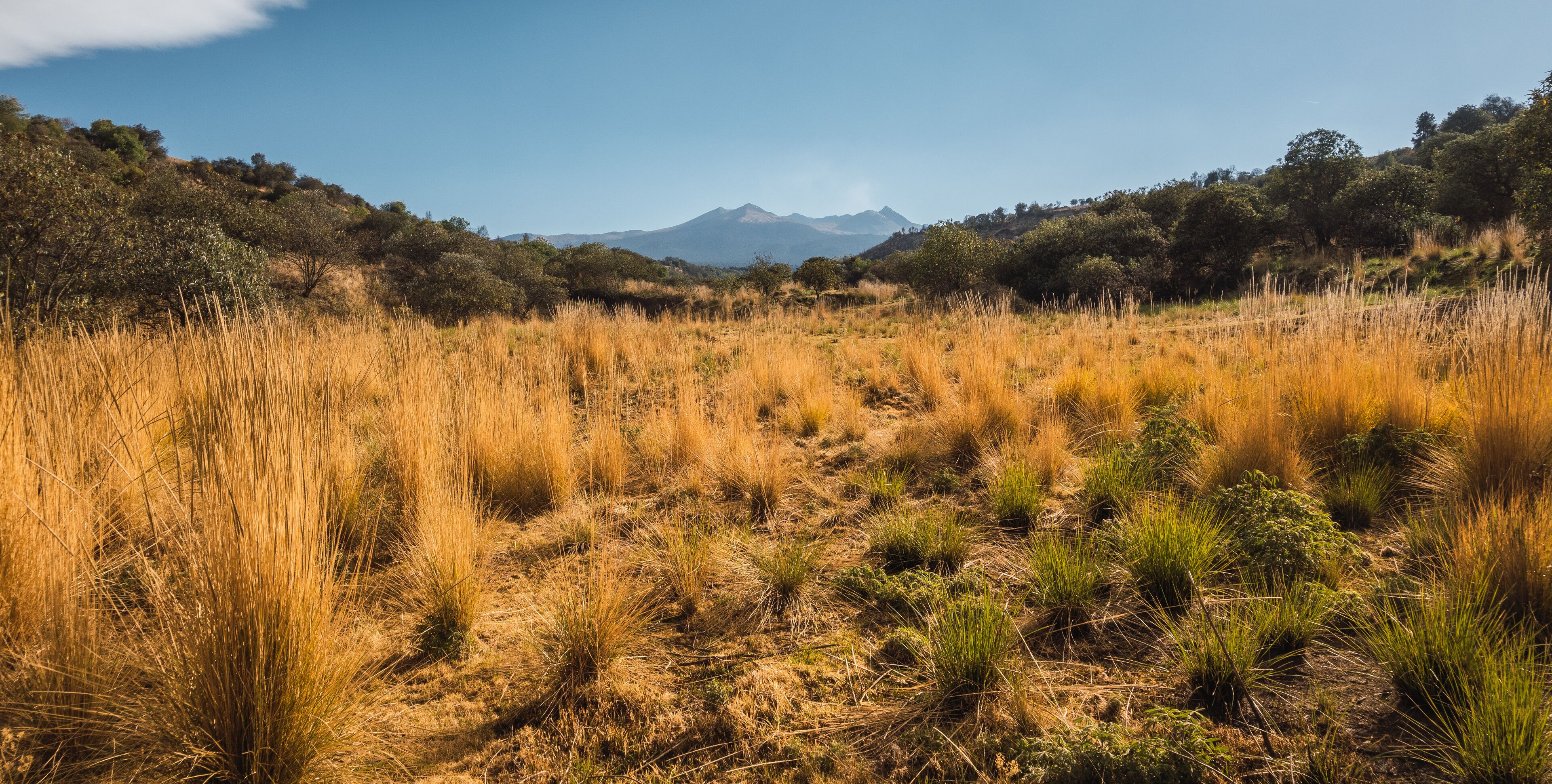 特特拉德奥坎波