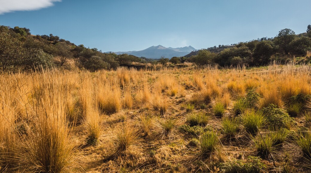 特特拉德奥坎波