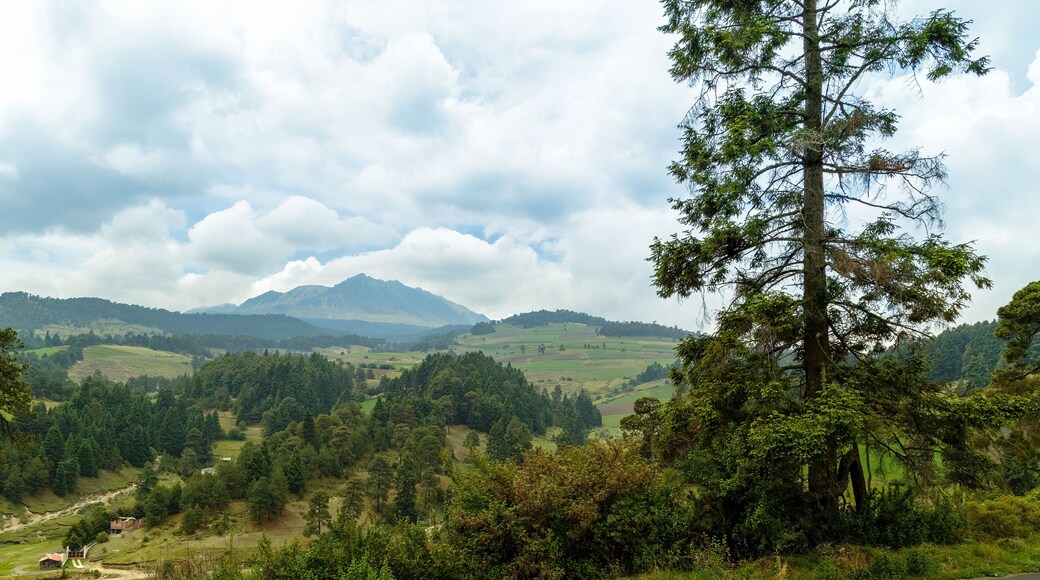 特特拉德奥坎波