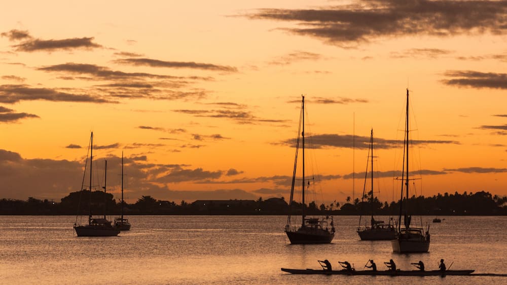 team of outriggers training at sunset in a bay in Samoa