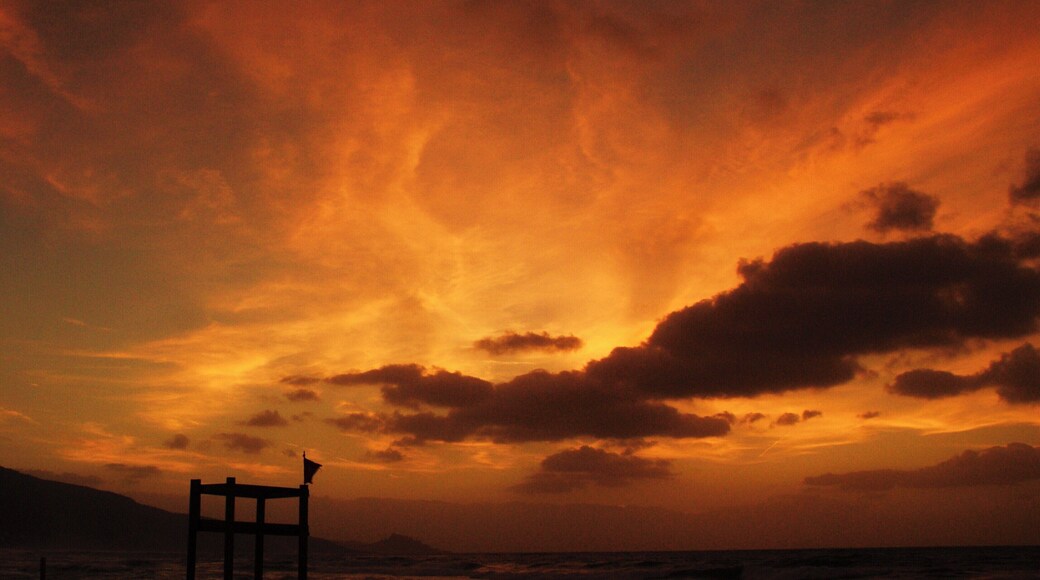 Fire in the paradise