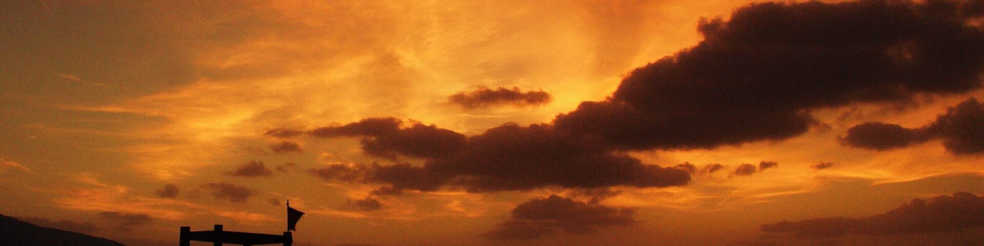 Fire in the paradise