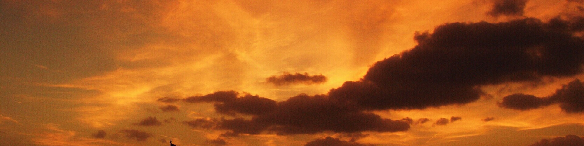 Fire in the paradise