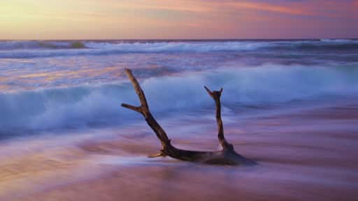 Fantastic Beach and unforgettable sunsets.