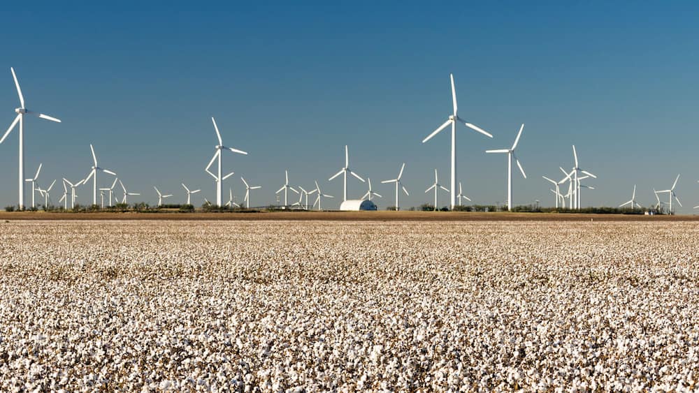 Wind Turbines Alternative Energy Texas Cotton Field Agriculture