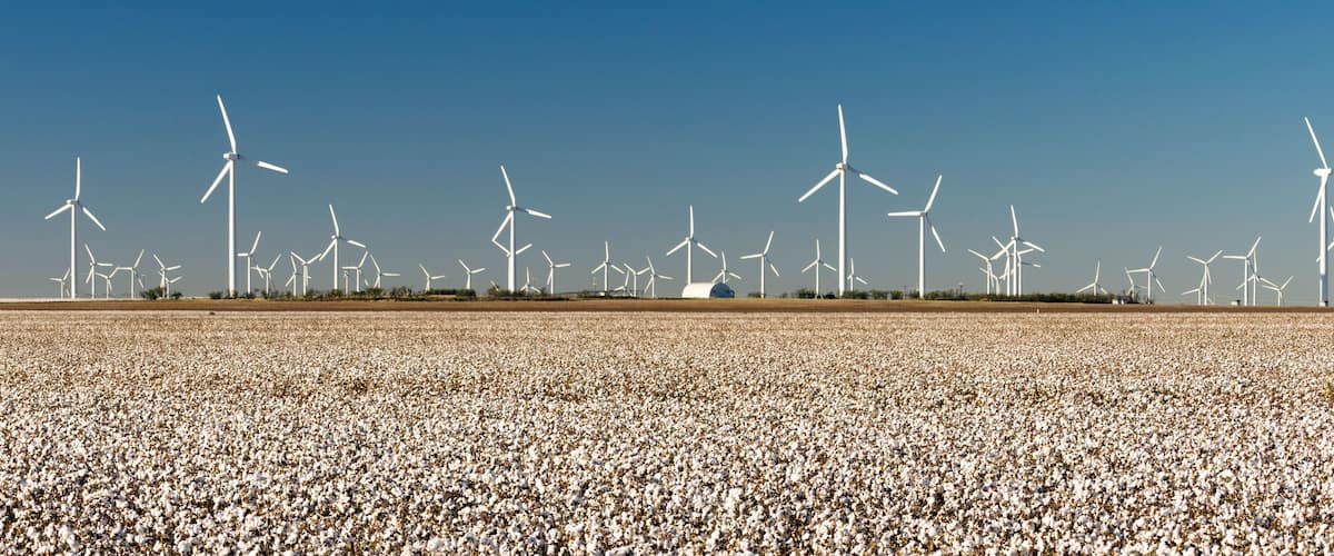 Wind Turbines Alternative Energy Texas Cotton Field Agriculture