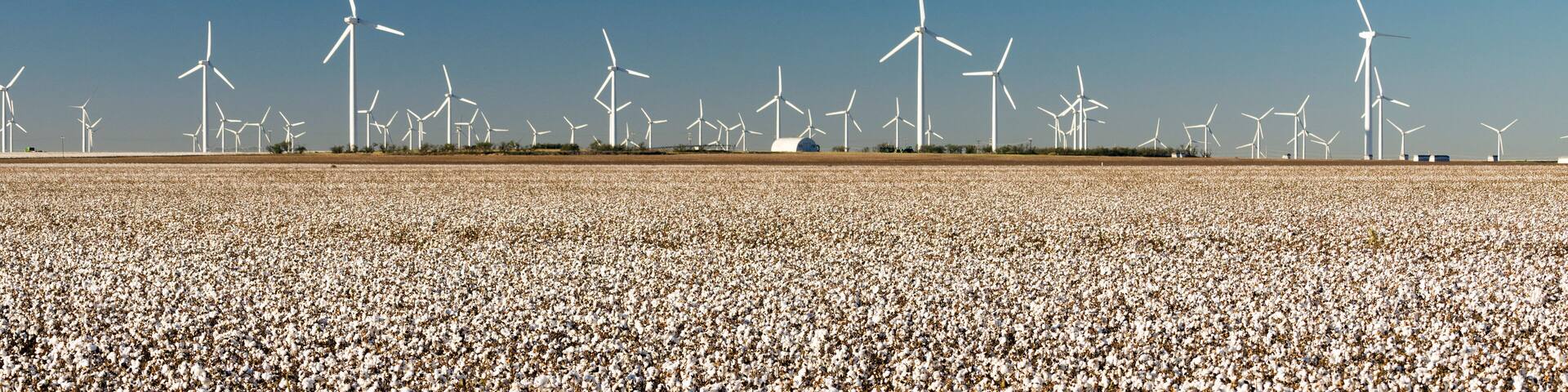 Wind Turbines Alternative Energy Texas Cotton Field Agriculture